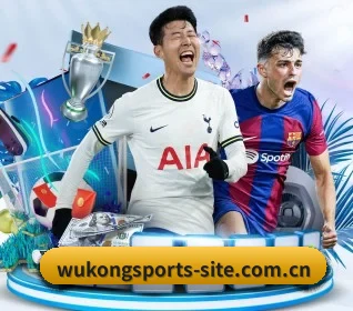 用内容积累长期价值 - 长期内容价值积累（WuKongSports）